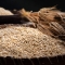 2023 햇보리 [유기농 늘보리 1kg] 보리쌀