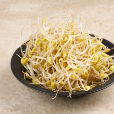 국산 [ 무농약 콩나물 300g] 무농약재배 청정암반수 햇콩