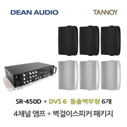 탄노이 벽부형스피커 DVS6 6개 매장용앰프 SR-450D 상업용 음향패키지