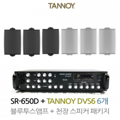 탄노이 벽부형스피커 DVS6 6개 SR-650D 상업용 음향패키지