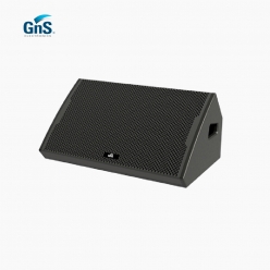 GNS 지엔에스 GS12M 12인치 패시브 모니터 스피커 300W